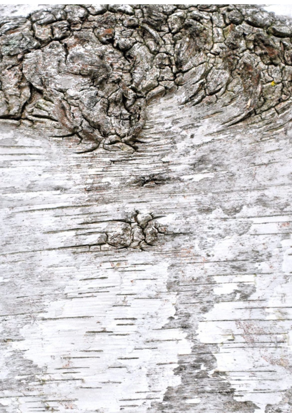 Le corps des vieux
